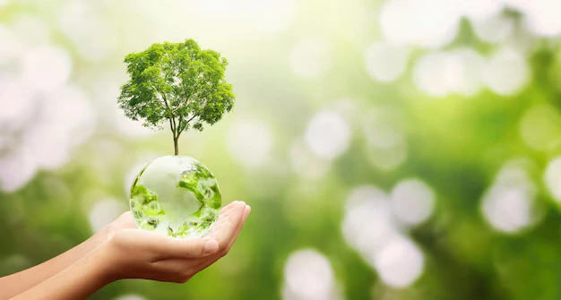 Eco-friendly shipping